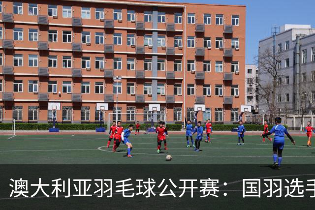澳大利亚羽毛球公开赛：国羽选手悉数晋级八强